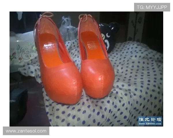 凯发网网站登录入口官网官方入口地址及使用流程详解