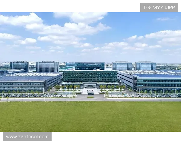 凯发官网网址多少官方入口在哪，详细解析官方平台的最新网址信息