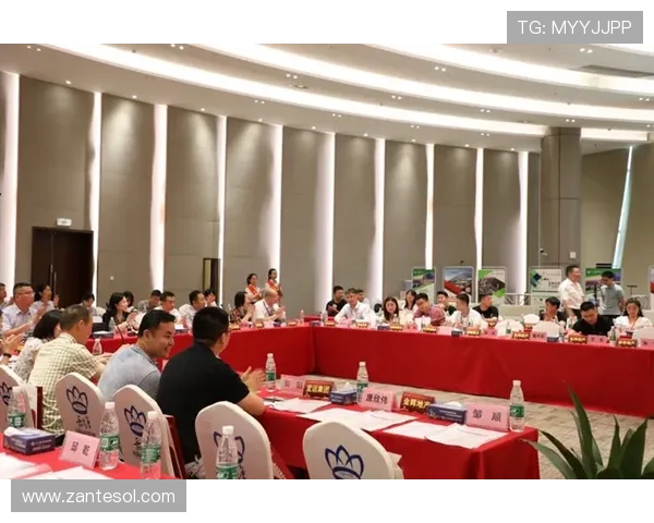 K8直营平台全面解析助你轻松掌握最新游戏运营策略