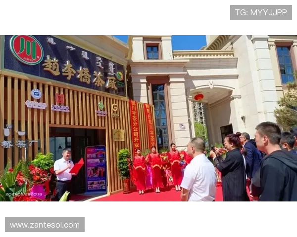 如何通过凯发官方旗舰店官网电话快速联系客户服务，解决账号登录与充值问题