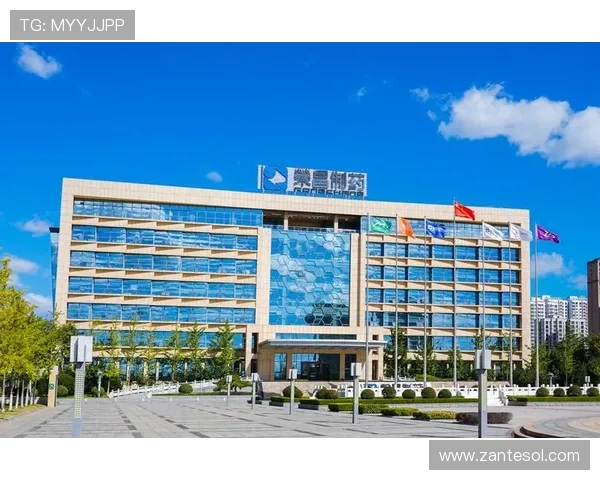 凯发集团网页版登录官网下载常见故障排查与技术支持指南