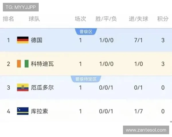 世界杯科特迪瓦对阵厄瓜多尔比赛结果及裁判判罚对比赛的影响分析